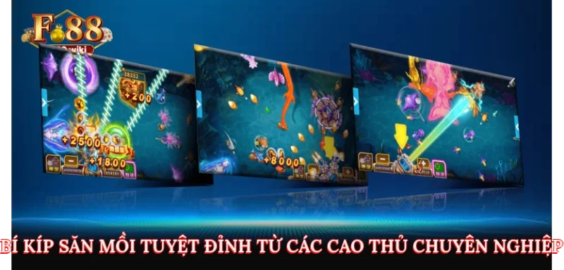 Bí kíp săn mồi tuyệt đỉnh từ các cao thủ chuyên nghiệp