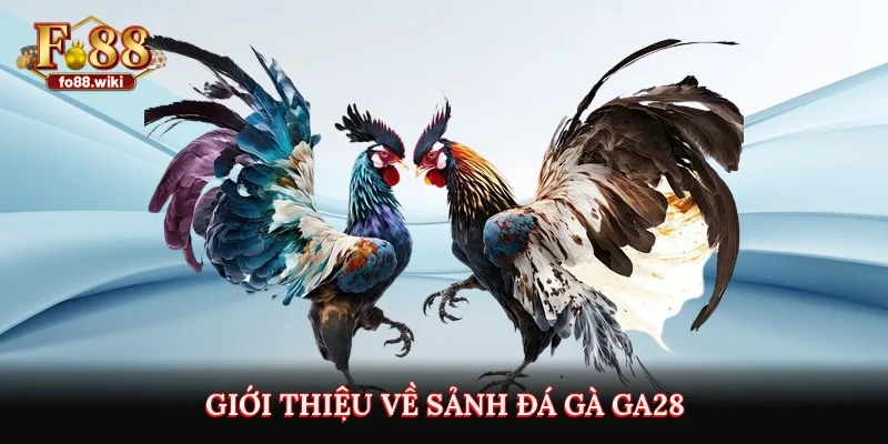 Giới thiệu về sảnh đá gà GA28